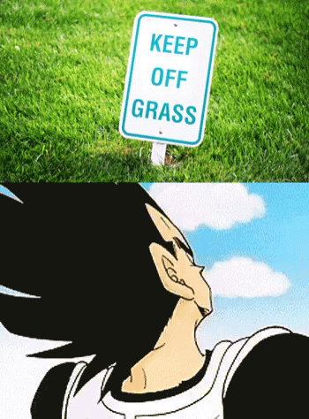 Keep off grass.gif