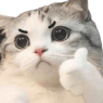 :tuc: