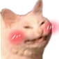 :kblush: