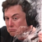 :elon: