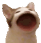 :pop: