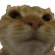 :nonono: