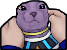 :pets: