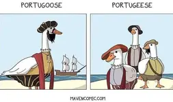 HEIKzM7bAAANsre.webp
