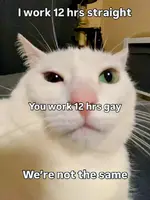 aW4XNM6_700b.webp