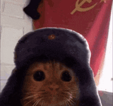 russia-communism.gif