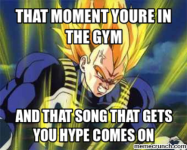 vegeta gym dragon ball z meme.png
