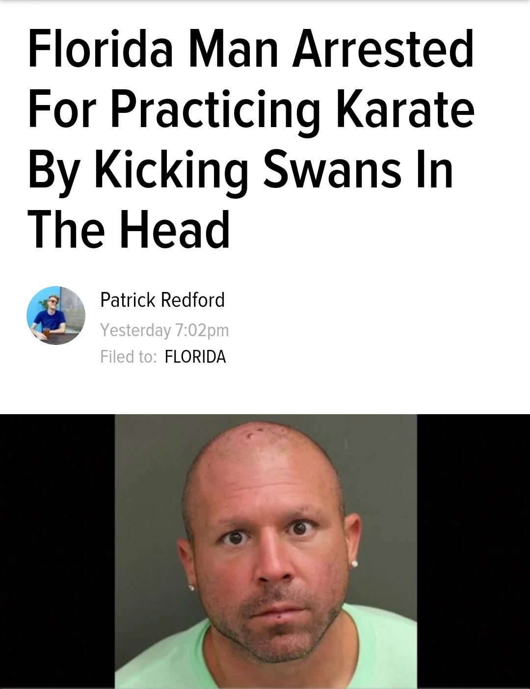 tumblr_p843k5SYSj1xoyw8po1_1280.jpg