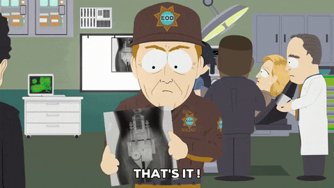 giphy.gif