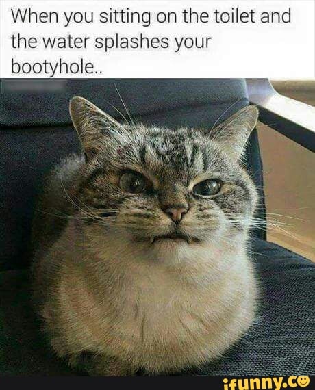 yWJ2hT5.jpeg