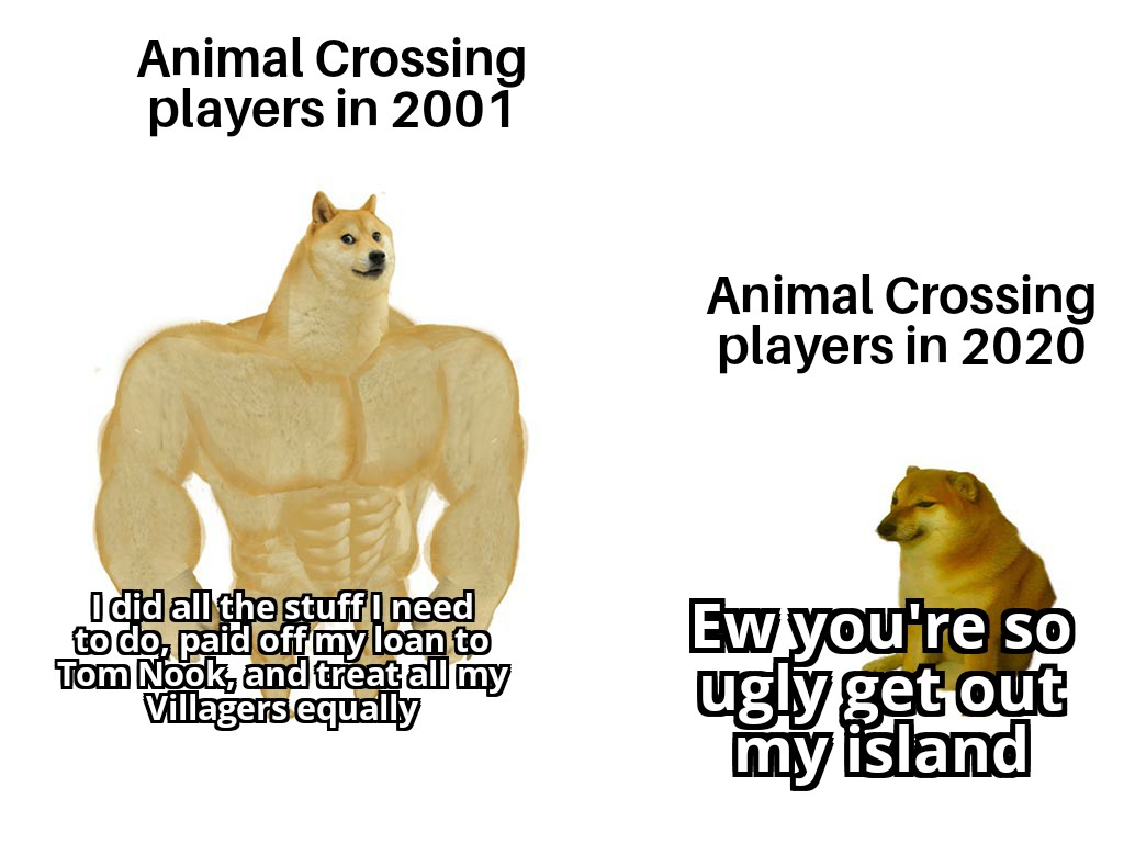 pcgtzzw75yj51.jpg