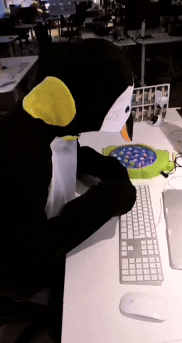 giphy.gif