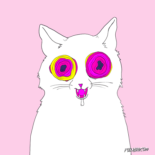 giphy.gif