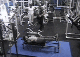 giphy.gif