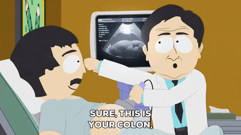 giphy.gif