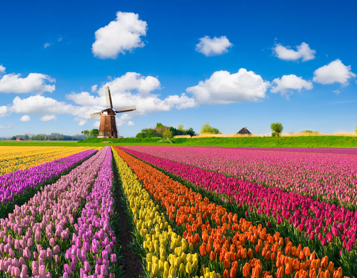 iStock-638591946-1.jpg