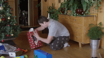 Lets Go Yes GIF by IFHT Films