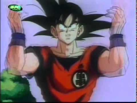 youtu.be