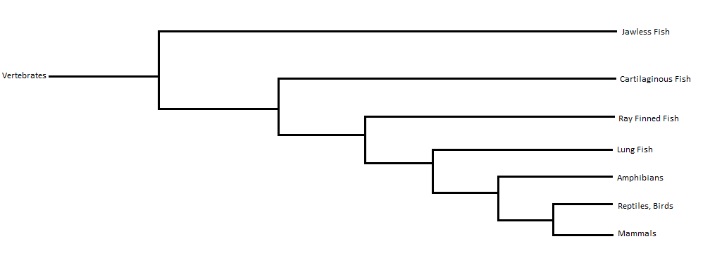 pu64g6F.png