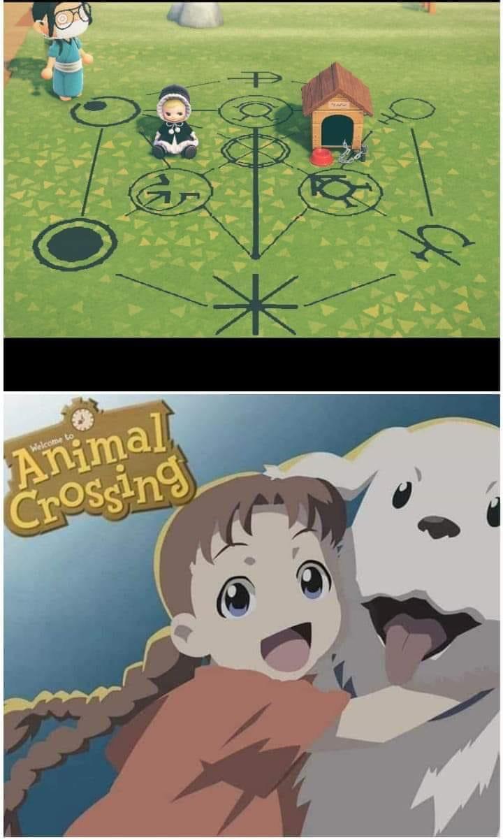 t0yghwzhjdu41.jpg
