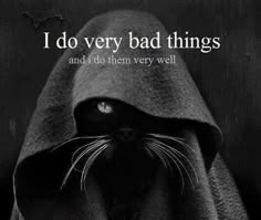 1f0b7722eef19f2a4691ac5cb43d3903--funny-cats-funny-animals.jpg