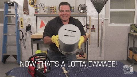 giphy.gif