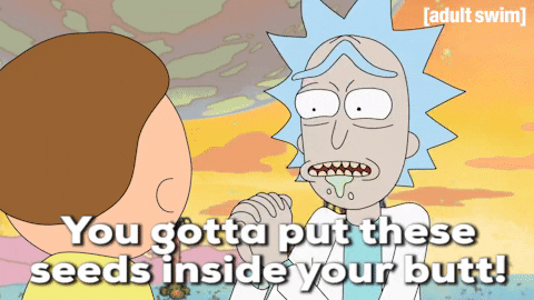giphy.gif