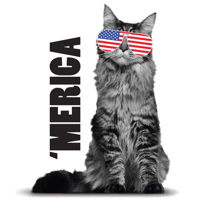 24-Hour-Tees.Merica-Cat-Preview.jpg