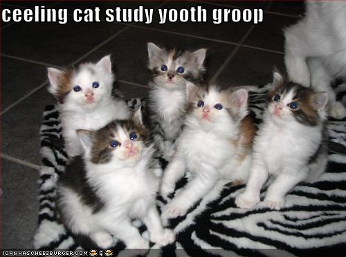 ceiling-cat-youthgroup.jpg