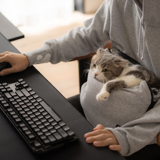 Nyangaroo-Gamer-Hoodie-With-Cat-Pouch-Keyboard.jpeg