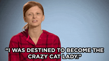 Crazy Cat Lady GIF by E!