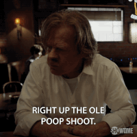 season 8 right up the ole poop shoot GIF by Shameless