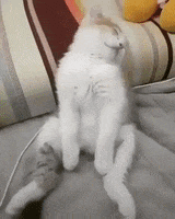 Tired Mood GIF by JustViral